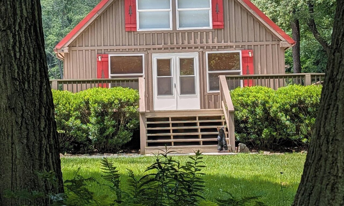 Schellsburg Cabin | 2 Kings Fire Pit Large Deck Arcade Near ATV Park