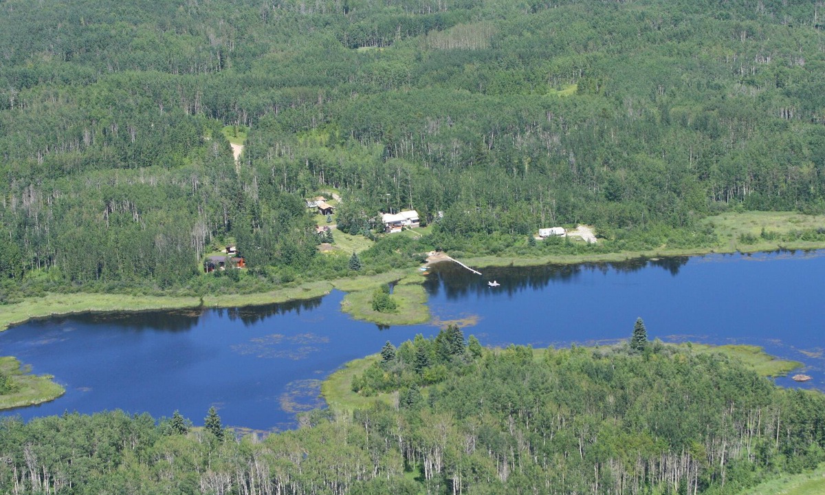 Clearwater County Cabin | A fabulous place to unwind. Sit listen & watch Mother Nature. Pure Bliss!