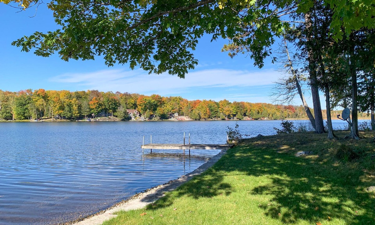 Havelock-Belmont-Methuen Cottage | Cozy Redwood Cottage with Firepit & Nature Views