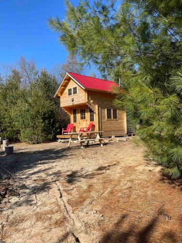 Langton House | Cozy Woodland Bunkie Outdoor Shower WiFi