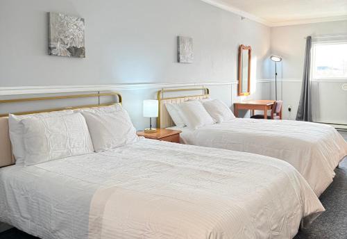 Whitehorse Hotel | Elite Hotel -Downtown Center- 24 hours "Ski & Northern light Tour" "Hot Spring Tour "Long-term stay"