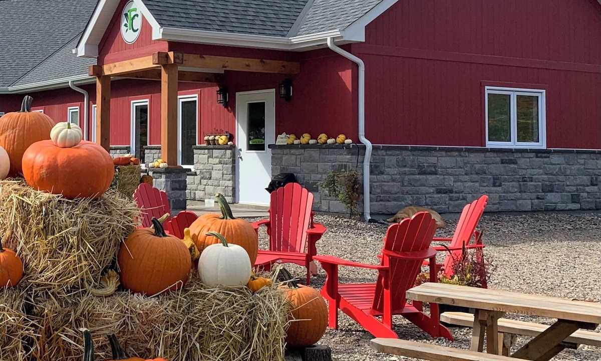 Laurentian Hills Other | Experience an Alpaca Getaway, located minutes from the Ottawa River!