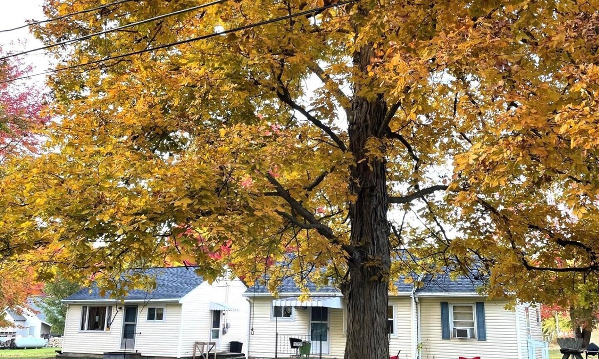 Pymatuning Central House | FISHING AND FAMILY FRIENDLY- NOTHING FANCY