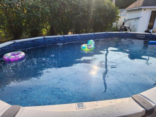 L'Ile-Perrot Apartment | Neat basement with Swimming pool and Gym