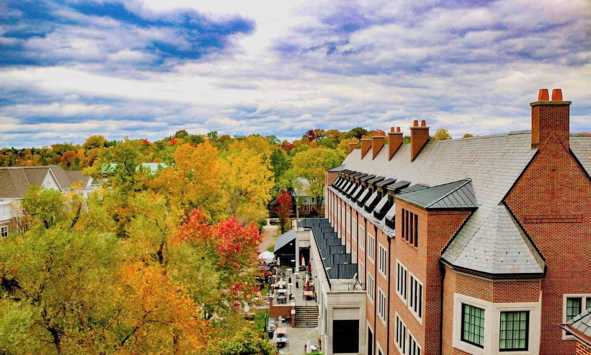 Rochester Hotel | Pet-friendly Accommodation with a Blend of Modern Comfort and Old-World Charm