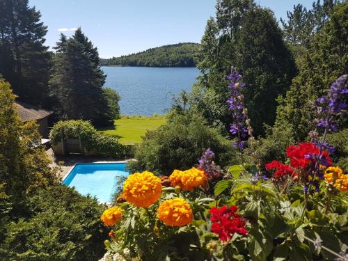 Lac Delage Apartment | Private Guest Suite with 2 Rooms, Pool, Lake Access