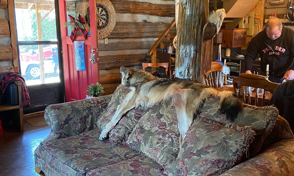 Lanark Highlands Cabin | Rustic log cabin - Lanark Highlands