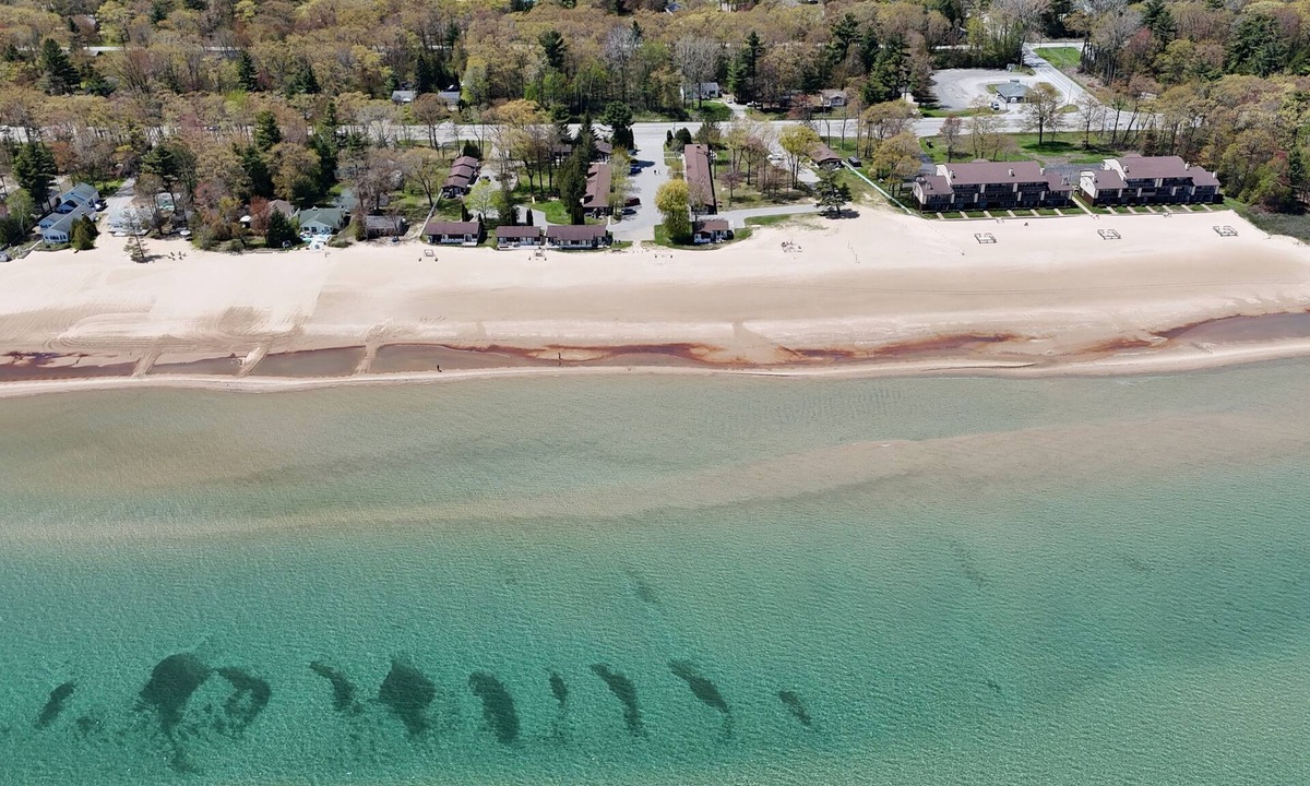 Oscoda Condo | Surfside 13 - Cute & Pet-Friendly Lakefront Condo with Washer, Dryer, A/C and Gorgeous Beach!