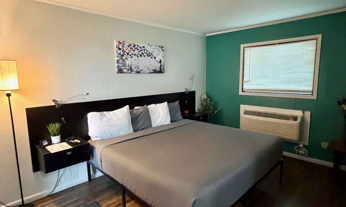 Bay View Bed & Breakfast | The Garden Room at The Cedar