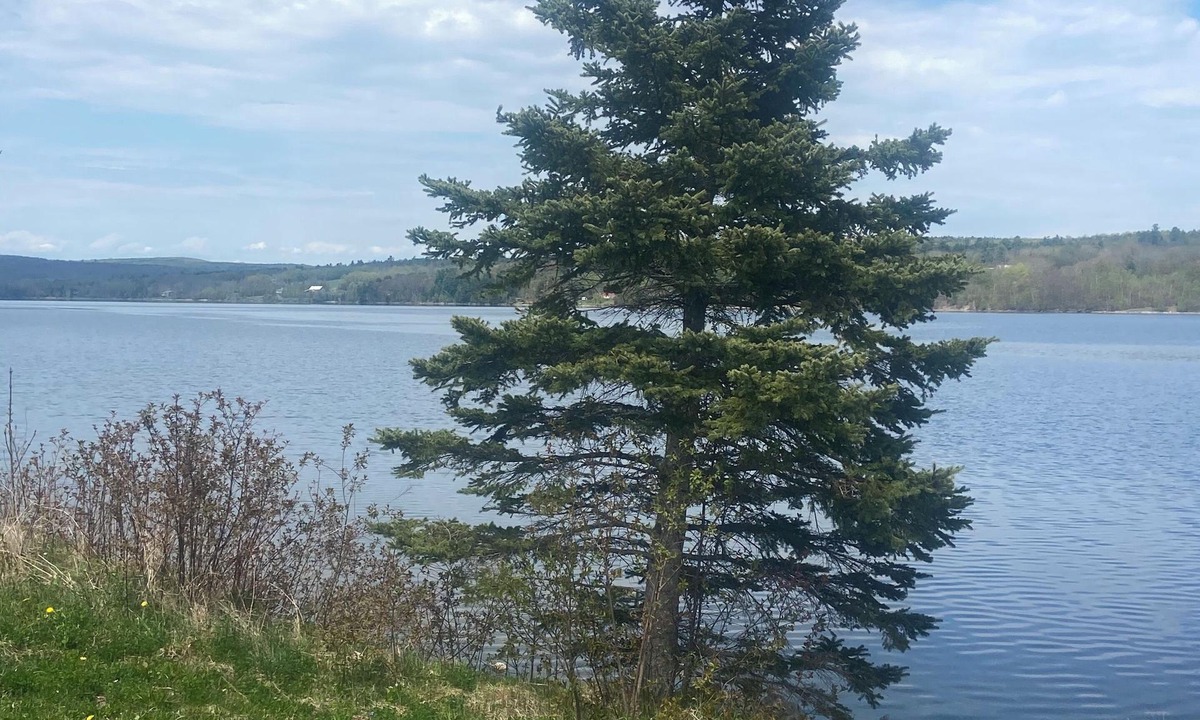 Queensbury House | Waterfront on the Saint John River
