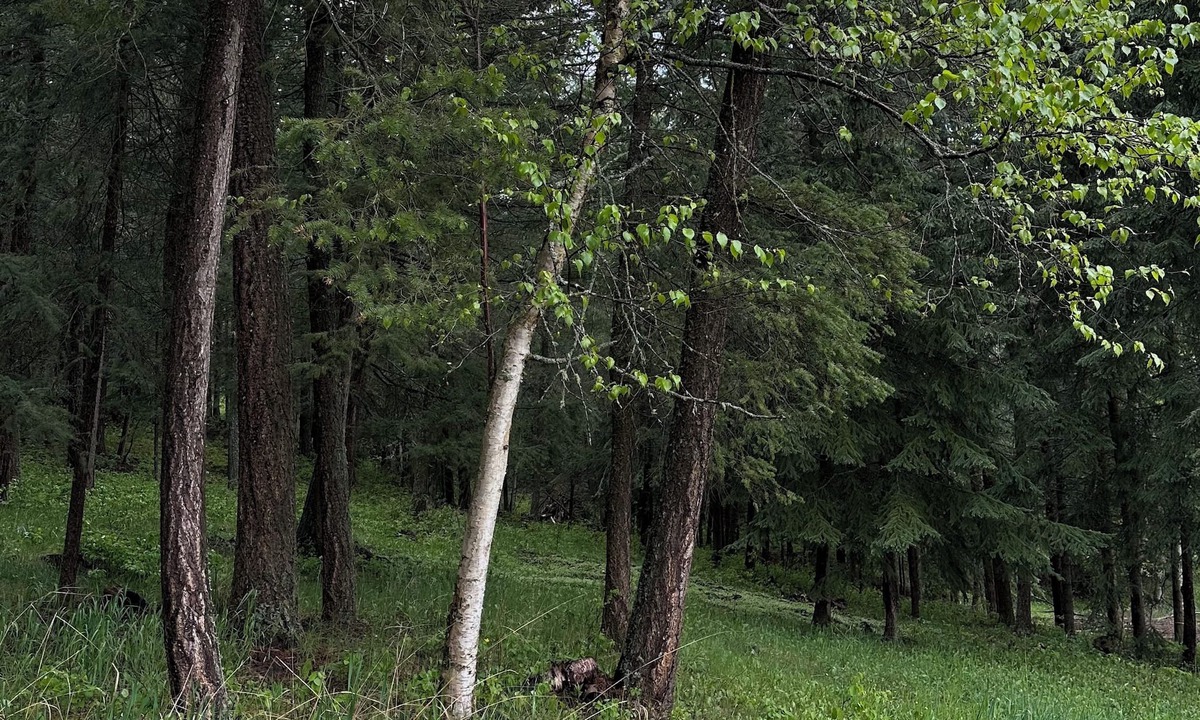 Quesnel Apartment | Welcome to our countryside retreat.