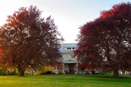 Town of Varick Bed & Breakfast | Yale Manor B&B & Yurt Glamping