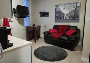 1-Bedroom Cozy Suite #26 by Amazing Property Rentals