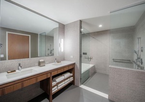 The Hotel at Oberlin