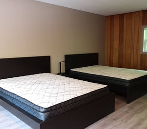 Deck Dorset 