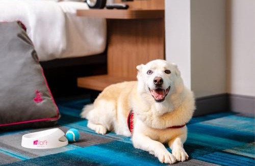 Banff Trail Hotel | Aloft by Marriott Calgary University