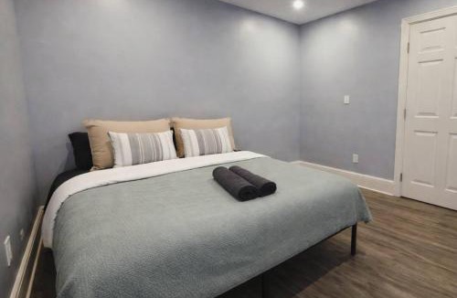 Buffalo Apartment | Artistic Comfort In Town
