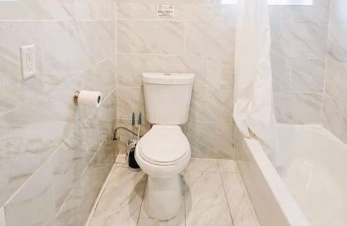 Buffalo Apartment | Artistic Comfort In Town