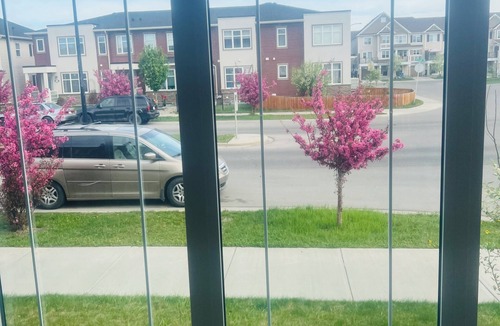 Calgary House | Beautiful, Modren family house 5 min from airport near busstop,resturants,Malls