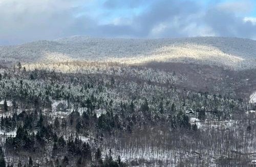 Mont-Tremblant Apartment | Beautiful suite with superb mountain view.