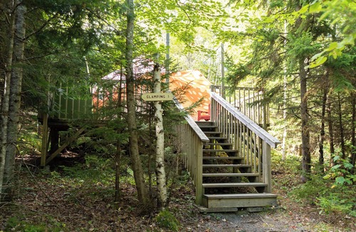 Saint Patrick RV Rental | Bell Glamping Tent! Forest Retreat & Hot Tubs!