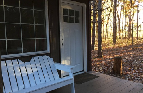 Prattsburgh Cabin | BIRD HOUSE - PET FRIENDLY! - OFF GRID - ROMANTIC WINE TRAIL CABIN - 4 Seasons