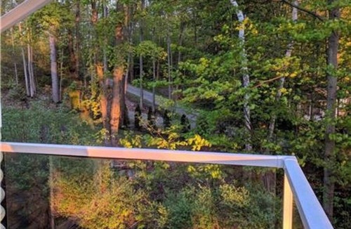 Selwyn House | Buckhorn Lake Waterfront Cottage |Wood burning lakeside Sauna, campfire - MAJOR INTERNATIONAL SPORTING EVENT