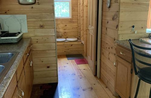 Dalton Cabin | Cabin Creek Hide-Away by Letchworth State Park, Waterfalls, Woods, Off Grid.