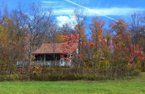 Susquehanna Cabin | Cabin on 4 acres/very private/Dogs OK/Easy Drive from Philly and NYC