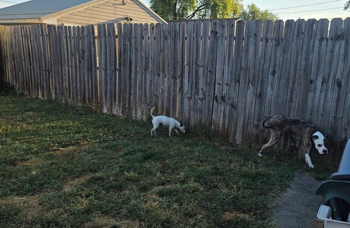 New Brighton House | Charming 3 Bed/2 Bath House in North Park - Fenced Backyard & Pet Friendly!" or