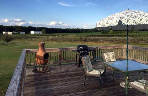 Berlin Center House | Charming Weekend Getaway Located on a Vineyard near Cleveland, Ohio