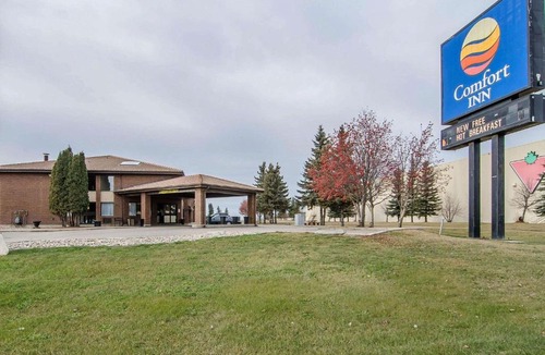 Prince Albert Hotel | Comfort Inn Prince Albert