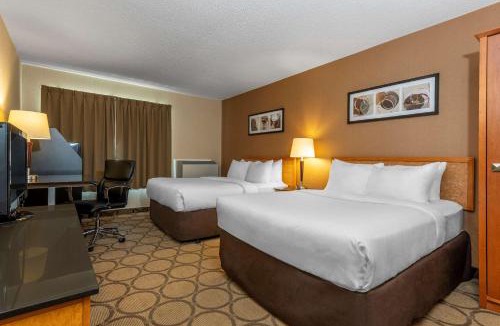 Sept-Iles Hotel | Comfort Inn Sept-Iles - Cotes Nord