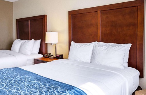 Niagara Falls Hotel | Comfort Inn & Suites Niagara Falls Blvd USA