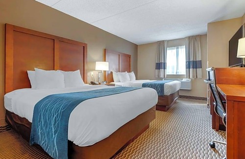 Amherst Hotel | Comfort Inn University