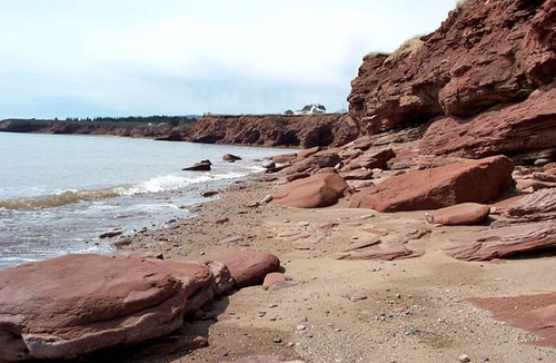 Harvey Cabin | Cozy Bed and Breakfast Accommodation with a Fireplace near Fundy National Park, New Brunswick