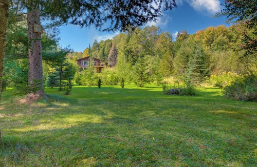 Minden Cottage | Cozy Cottage on the River w/firepit, super close to hiking and cliff diving