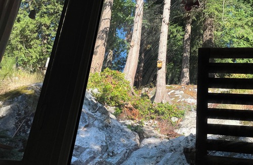 Horseshoe Bay House | Cozy Forest Retreat in Horseshoe Bay | Walk to Beaches & Village