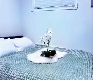 Highland Park House | Cozy Room 2 with Private Entrance