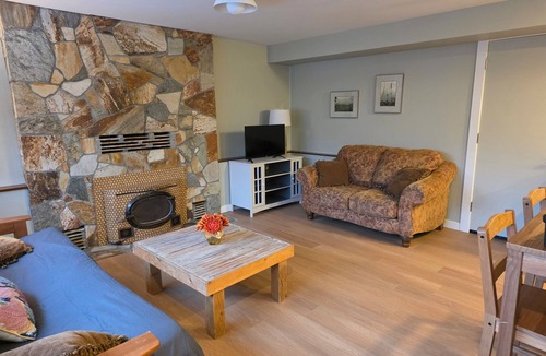 Nelson Apartment | Cozy ski retreat on Copper Mountain w/artist studio. Pet-Friendly!