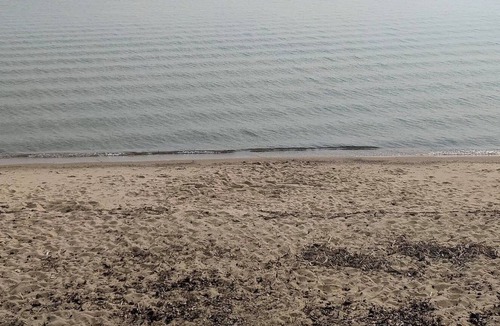 Au Gres Cottage | Cozy Woodside Lake Escape minutes from Lake Huron