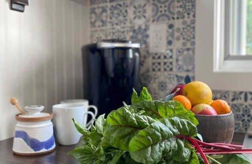 Sennett Apartment | Enjoy peace and tranquility of a newly renovated apartment in the Finger Lakes
