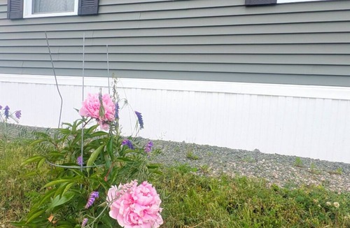 Glace Bay House | Entire House & Windmill Coast Retreat