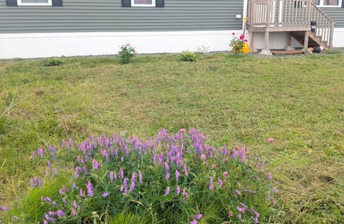 Glace Bay House | Entire House & Windmill Coast Retreat
