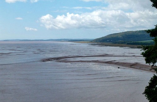 Harvey Cabin | Family-Friendly Bed and Breakfast Accommodation near the Bay of Fundy, New Brunswick
