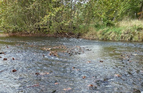 Austin House | Great fishing, snowmobile and hunting cabin