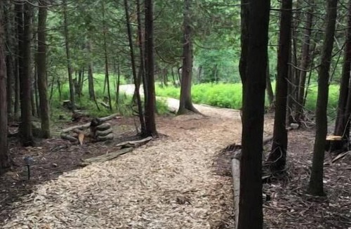 Chatsworth Cabin | Greyridge Glamping "Paradise Island " Retreat