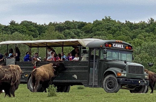 Dale House | Hidden Valley Animal Adventure