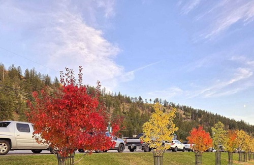 Radium Hot Springs House | Home away from Home in the Heart of Nature