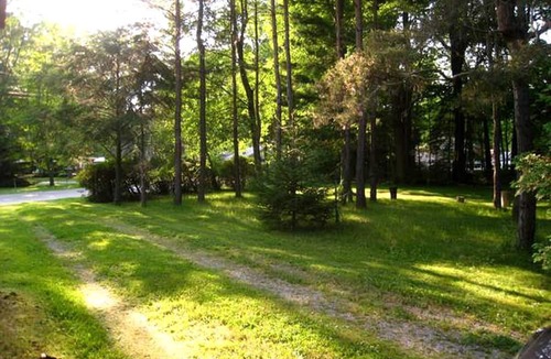 Turkey Point Cottage | Homey Lakefront Cottage Rental near Turkey Point, Ontario